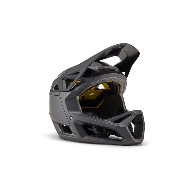 Proframe Bike Helmet