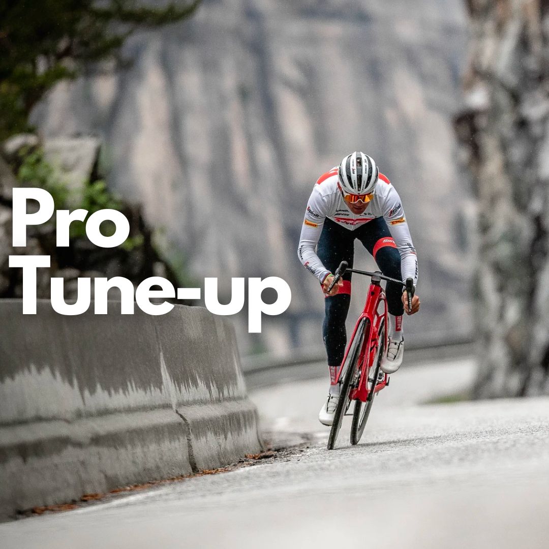 Pro Tune Up